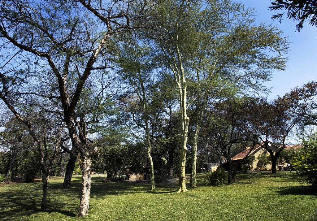 Sunbird Lodge Phalaborwa Exterior foto