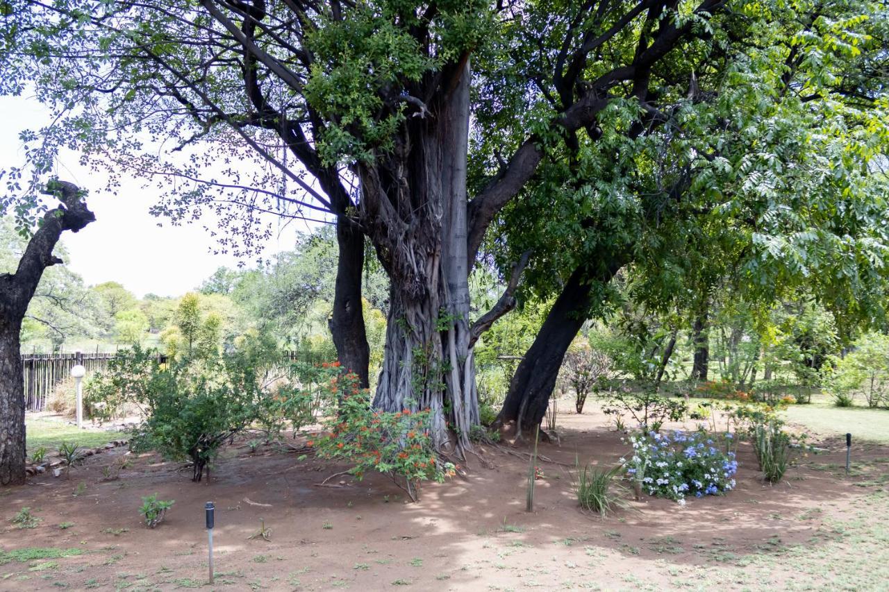 Sunbird Lodge Phalaborwa Exterior foto