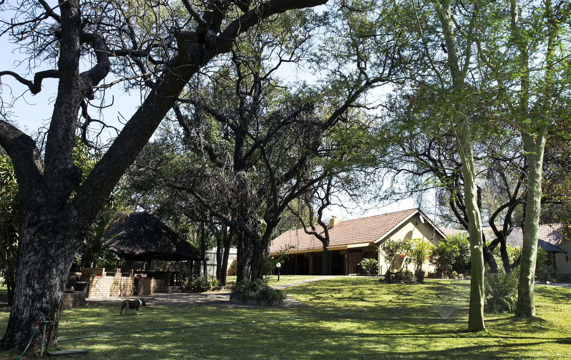 Sunbird Lodge Phalaborwa Exterior foto